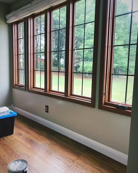 Windows & Trim